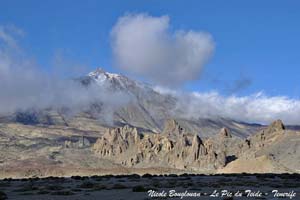 bird trip reports tenerife