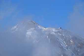 bird trip reports tenerife