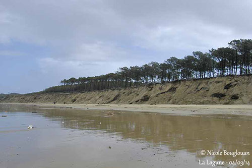 Quand le vent fait virevolter le sable